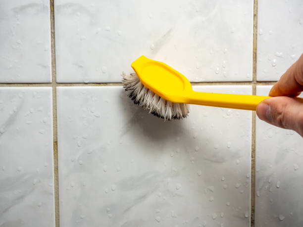 Best Home Mold Removal  in Murphys Estates, SC