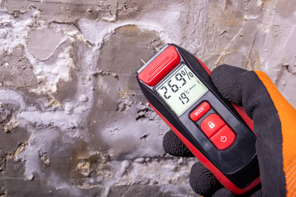 Professional Mold Removal in Murphys Estates, SC